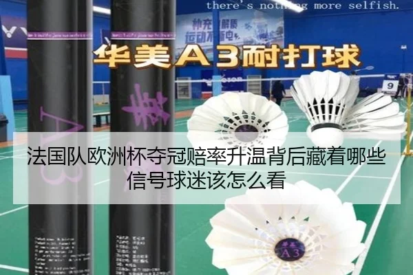 法国队欧洲杯夺冠赔率升温背后藏着哪些信号球迷该怎么看